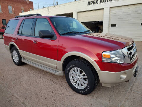 2009 Ford Expedition for sale at Apex Auto Sales in Coldwater KS