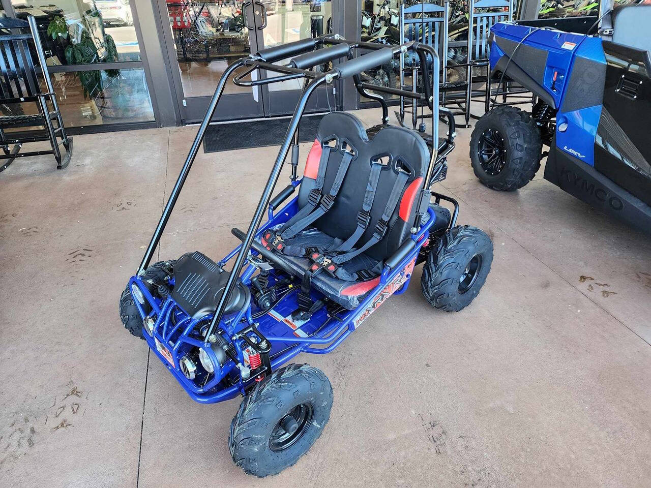 2024 TrailMaster Eagle Mini XRX/R for sale at Auto Energy in Lebanon, VA