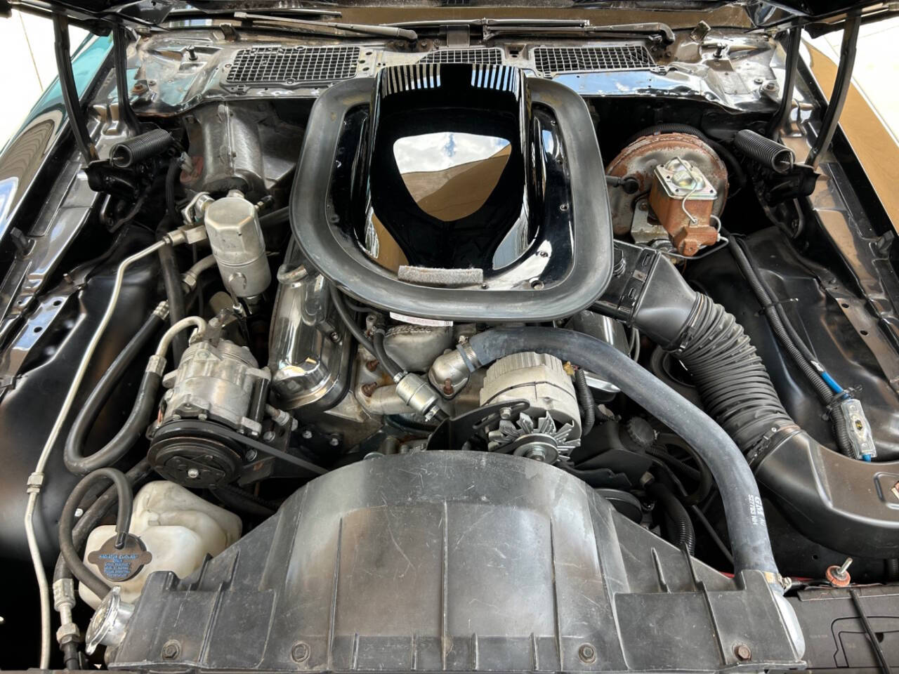 1976 Pontiac Firebird 39