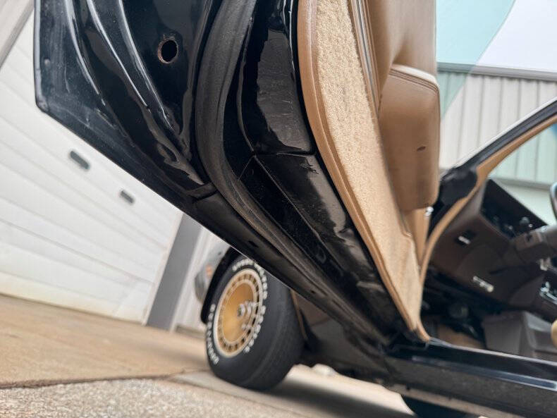 1981 Pontiac Firebird Trans Am