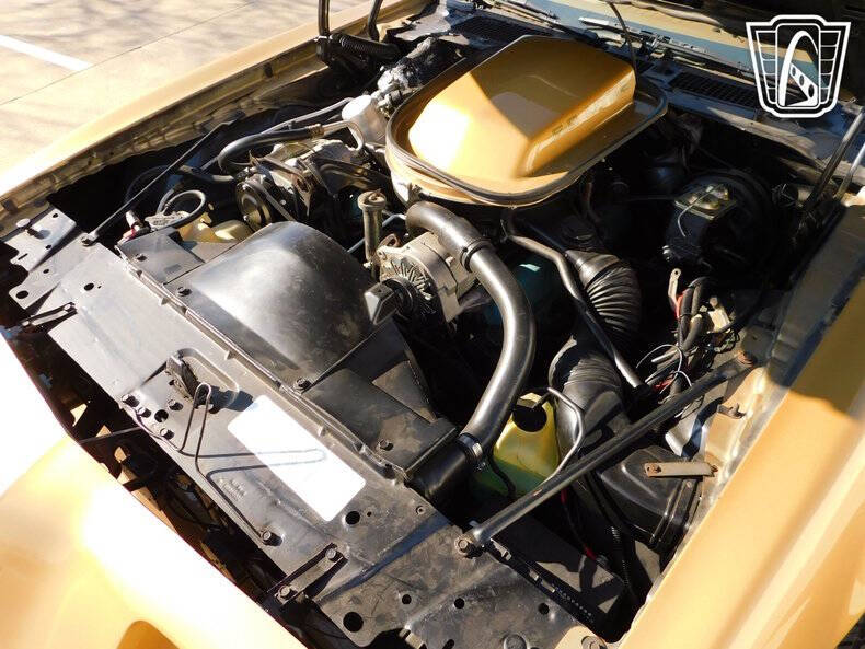 1979 Pontiac Firebird