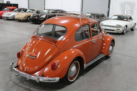 1965 Volkswagen Beetle