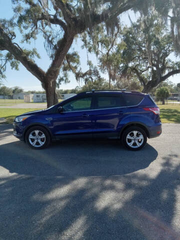 2014 Ford Escape for sale at Gas Buggies in Labelle FL