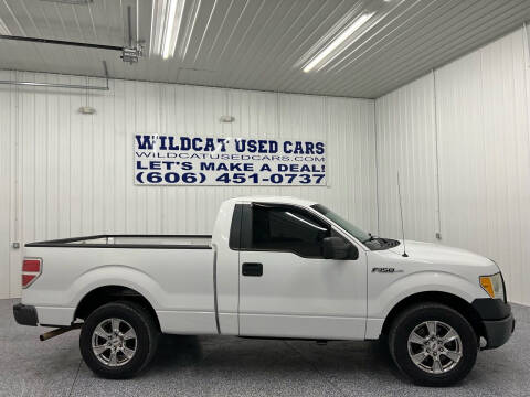 2013 Ford F-150 for sale at Wildcat Used Cars in Somerset KY