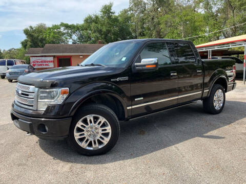 2013 Ford F-150 for sale at Auto Liquidators of Tampa in Tampa FL