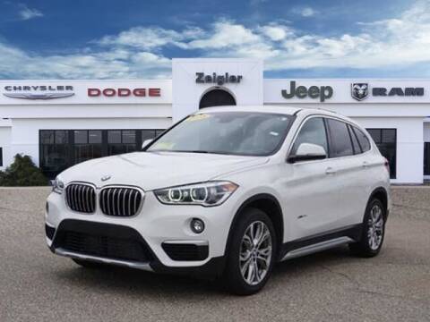 2018 BMW X1 for sale at Zeigler Ford of Plainwell - Jeff Bishop in Plainwell MI