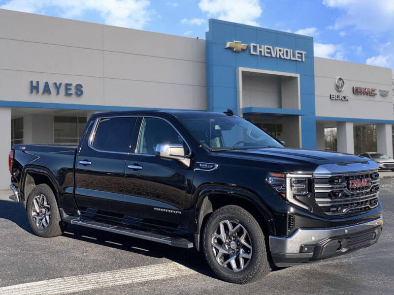 2022 GMC Sierra 1500 for sale at HAYES CHEVROLET Buick GMC Cadillac Inc in Alto GA