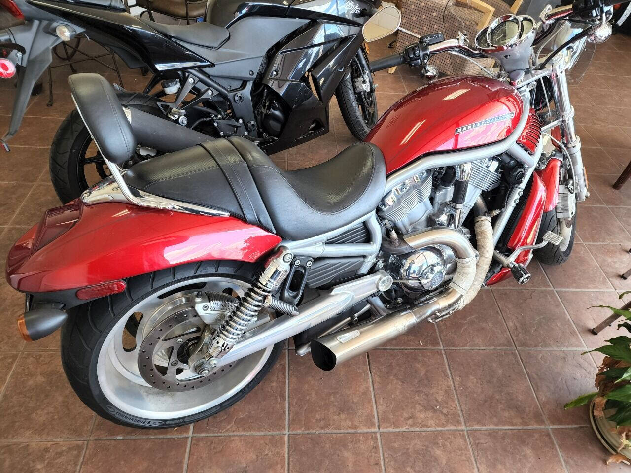 2008 harley davidson v deals rod for sale