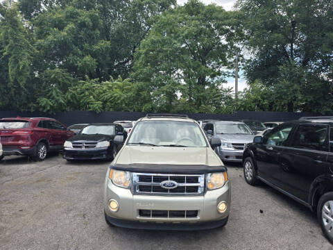 2011 Ford Escape XLT