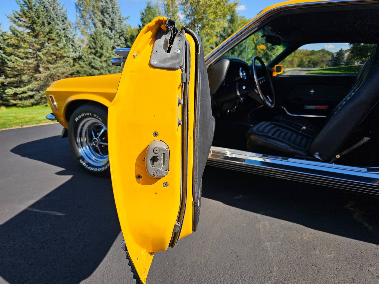 1970 Ford Mustang 110