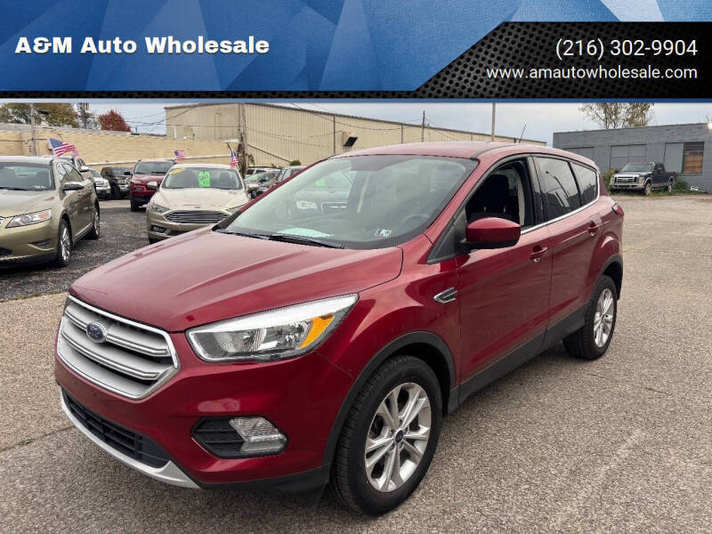 2019 Ford Escape SE