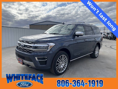 2023 Ford Expedition for sale at Whiteface Ford in Hereford TX