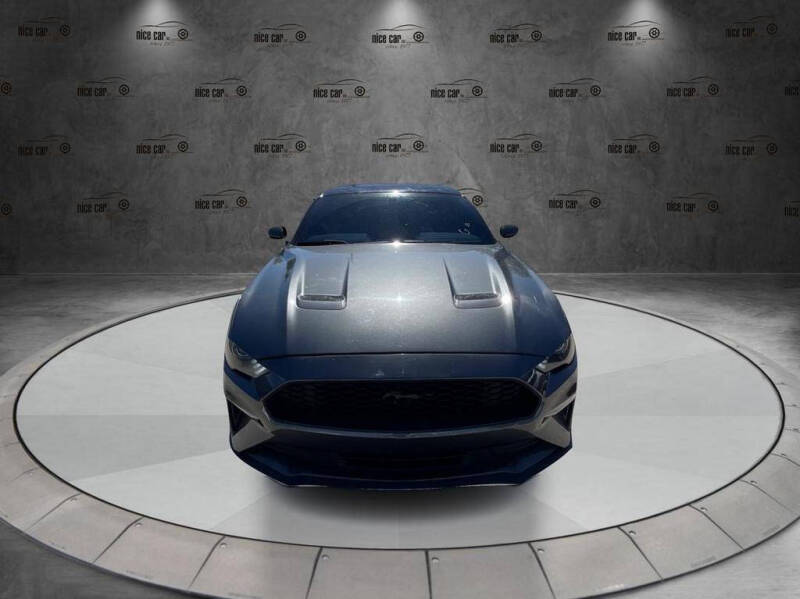 2019 Ford Mustang