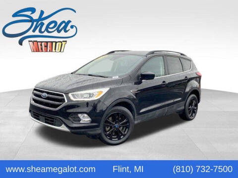 2019 Ford Escape for sale at Bankruptcy Auto Loans Now in Flint MI