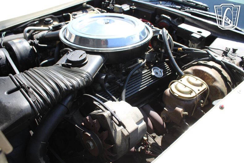 1981 Chevrolet Corvette