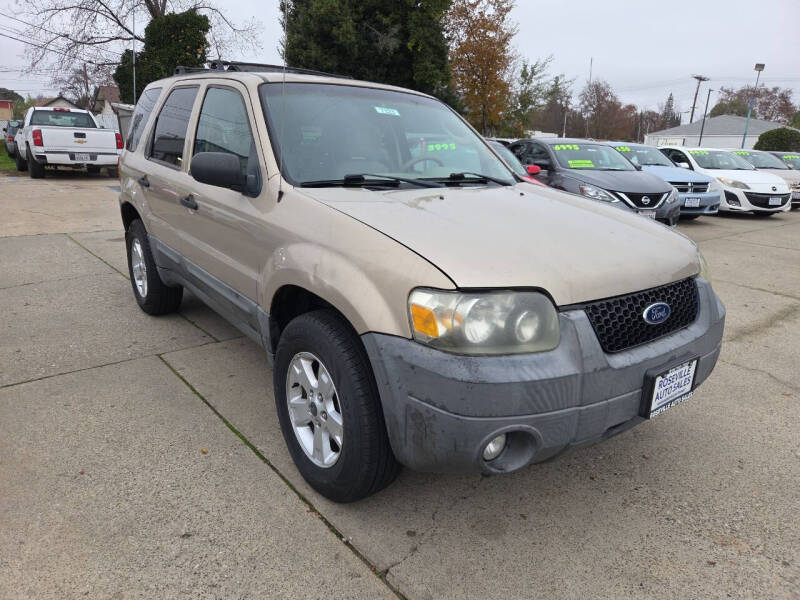 2007 Ford Escape XLT