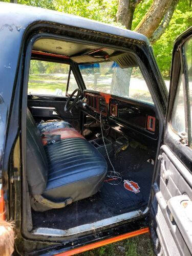 1978 Ford F-100