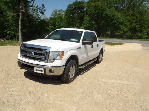 2014 Ford F-150 for sale at Clucker's Auto in Westby WI