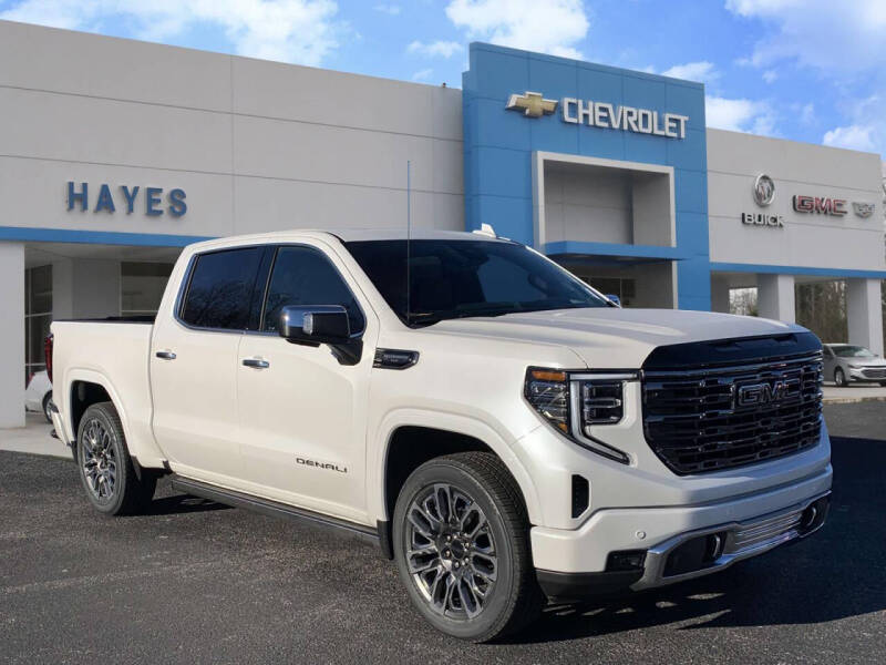 2025 GMC Sierra 1500 for sale at HAYES CHEVROLET Buick GMC Cadillac Inc in Alto GA