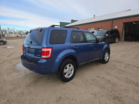 2010 Ford Escape XLT