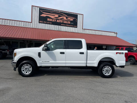 2019 Ford F-250 Super Duty for sale at Ridley Auto Sales, Inc. in White Pine TN