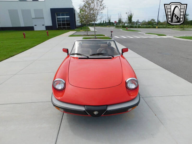 1984 Alfa Romeo Spider Veloce