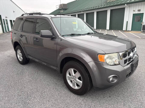 2010 Ford Escape XLT
