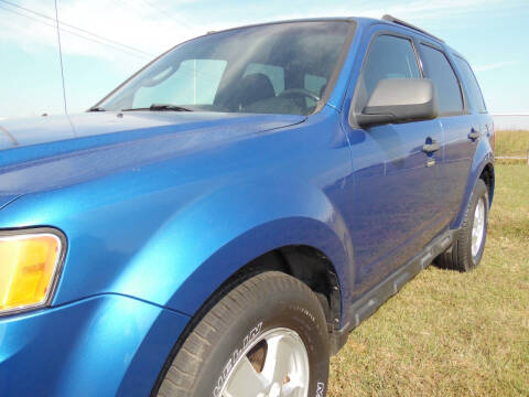 2011 Ford Escape XLT
