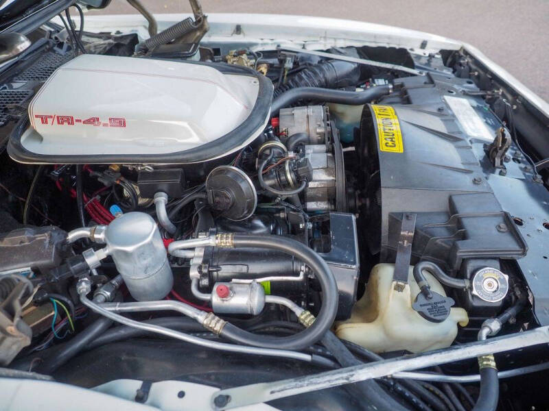 1981 Pontiac Firebird Trans Am