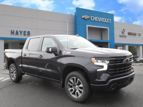 2023 Chevrolet Silverado 1500 for sale at HAYES CHEVROLET Buick GMC Cadillac Inc in Alto GA