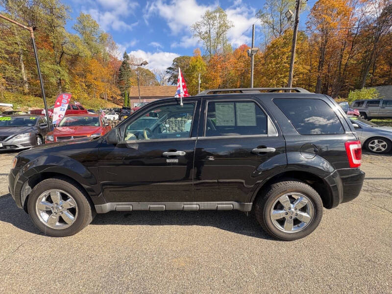 2011 Ford Escape XLT