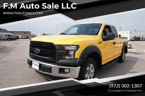 2016 Ford F-150 for sale at F.M Auto Sale LLC in Dallas TX