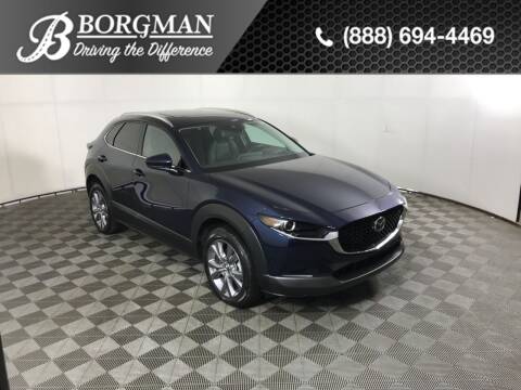 2022 Mazda CX-30 for sale at BORGMAN OF HOLLAND LLC in Holland MI