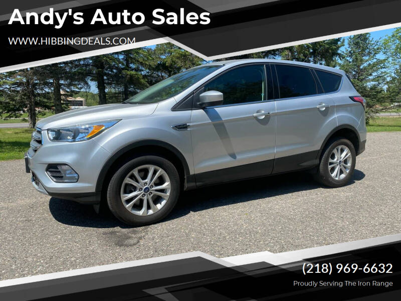 2017 Ford Escape for sale at Andy's Auto Sales in Hibbing MN