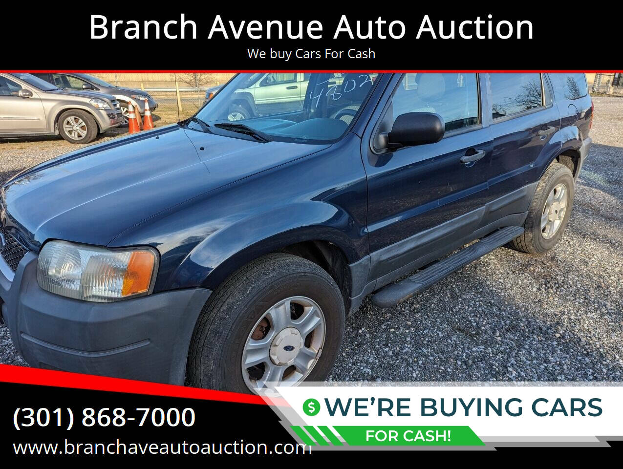 Dk. Blue 2004 Ford Escape XLT XLT 4WD 4dr SUV 1