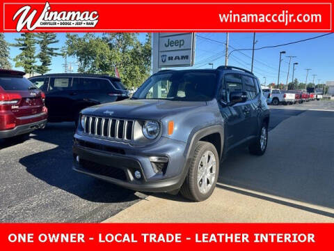 2023 Jeep Renegade for sale at Jim Dobson Ford in Winamac IN