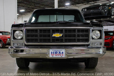 1979 Chevrolet C/K 10 Series