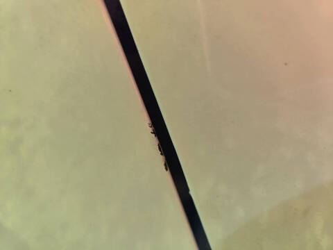 1980 Lincoln Continental