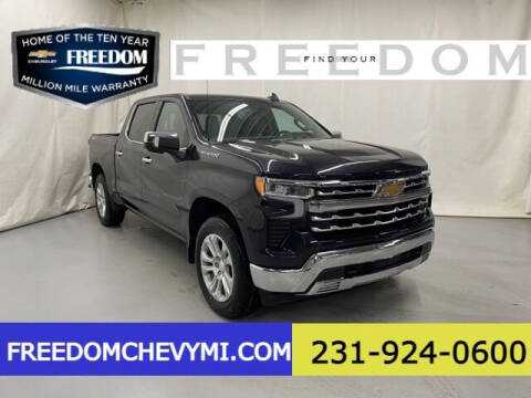 2022 Chevrolet Silverado 1500 for sale at Freedom Chevrolet Inc in Fremont MI