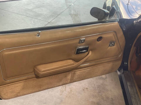 1981 Pontiac Firebird Trans Am