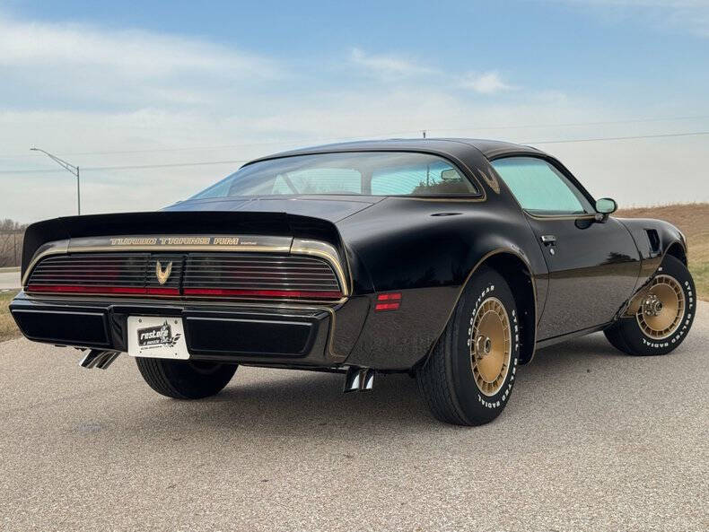 1981 Pontiac Firebird Trans Am