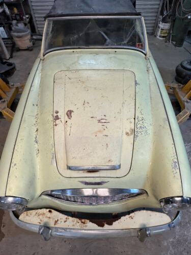 1959 Austin-Healey BT7