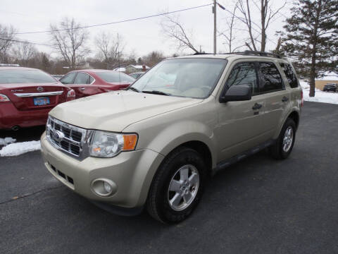 2011 Ford Escape XLT