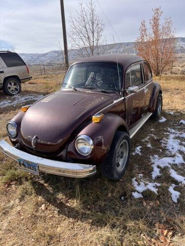 1974 Volkswagen Beetle