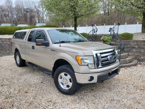 2010 Ford F-150 for sale at EAST PENN AUTO SALES in Pen Argyl PA