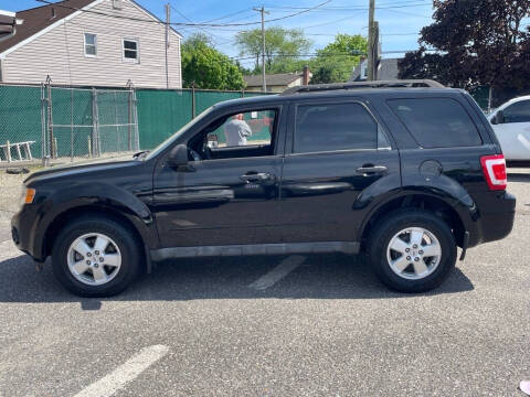 2009 Ford Escape XLT