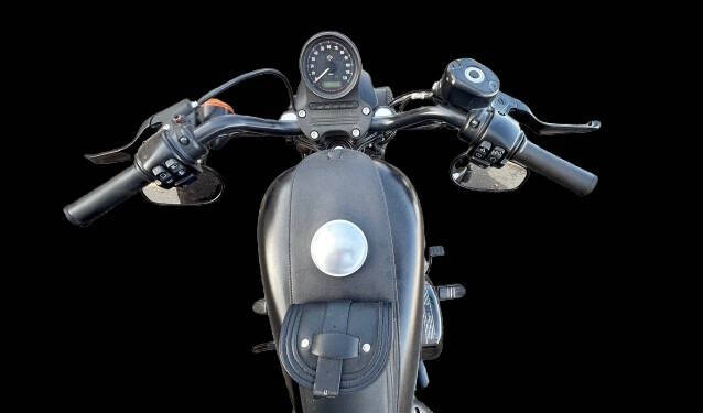 2020 Harley-Davidson Sportster