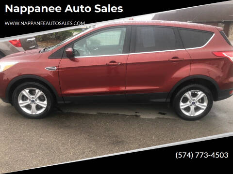 2016 Ford Escape for sale at Nappanee Auto Sales in Nappanee IN