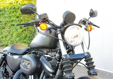 2015 Harley-Davidson Iron 883