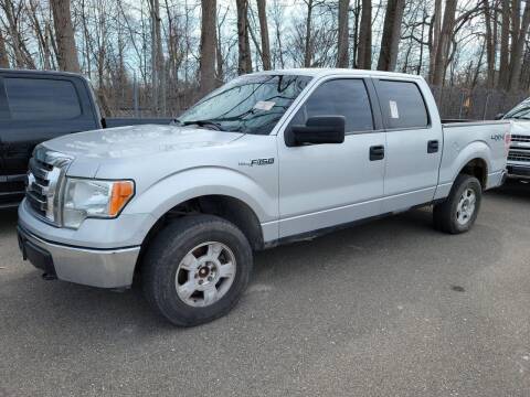 2012 Ford F-150 for sale at George's Used Cars in Brownstown MI